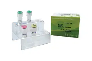 [SET] Solg™ e-Taq DNA Polymerase (Amplification)