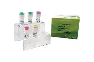 [DT] DiaStar™ Taq DNA Polymerase (Amplification)