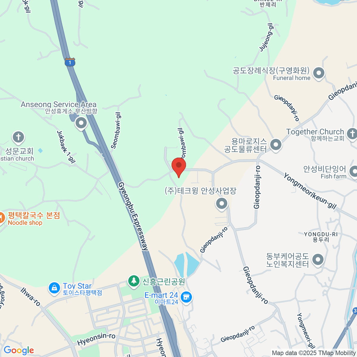 google-map-placeholder-image