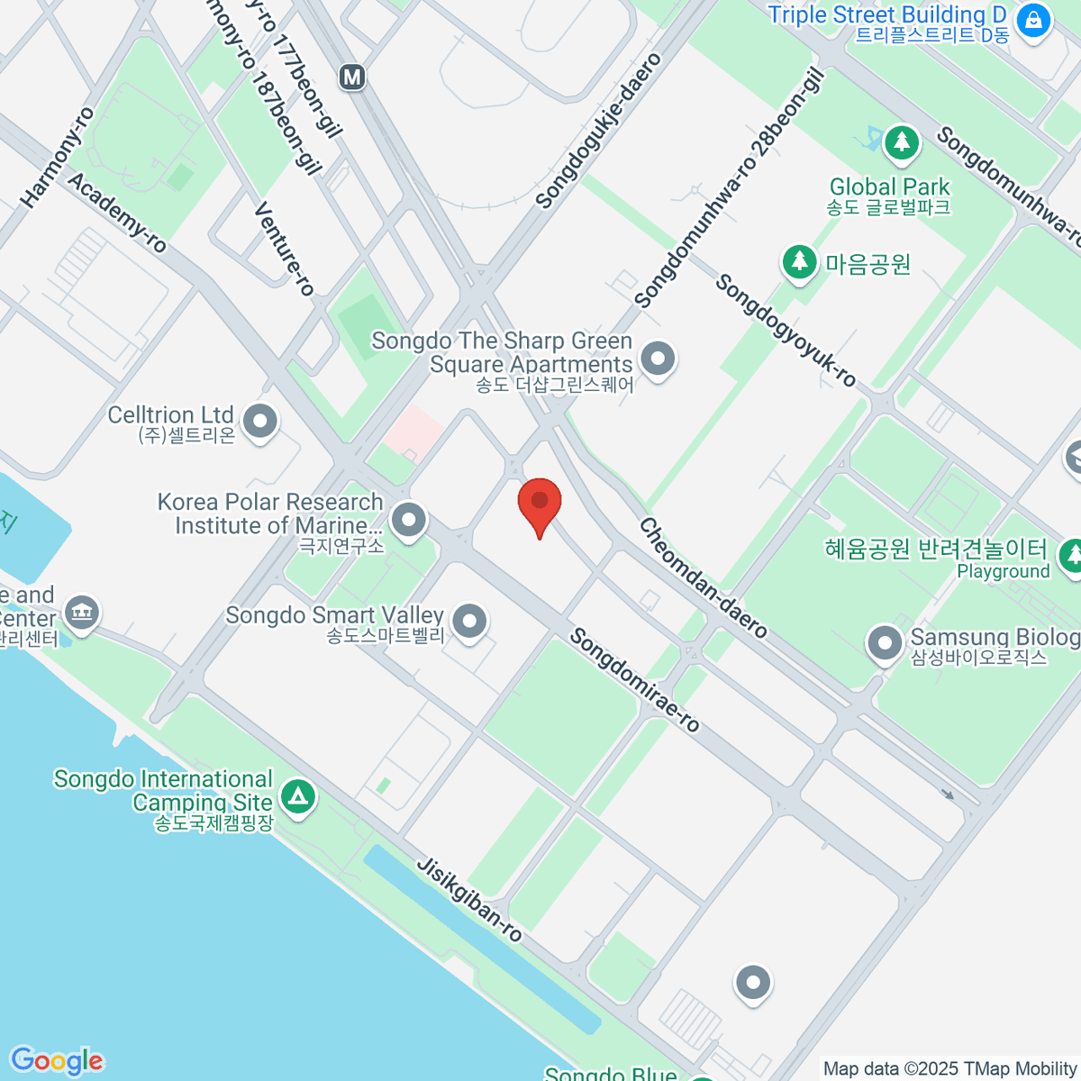 google-map-placeholder-image