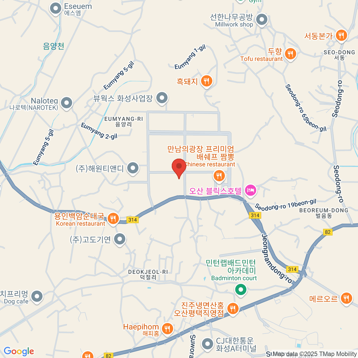 google-map-placeholder-image